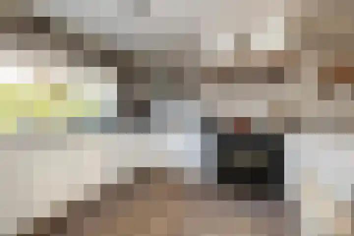 De Houtsnip 7 Dronten thumbnail 9