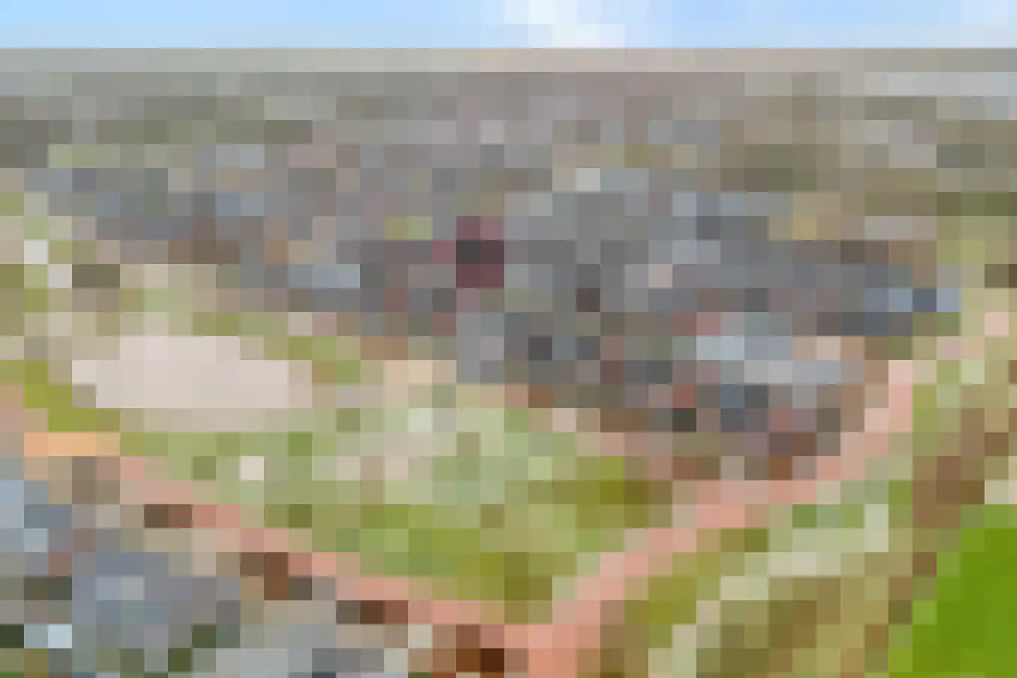 De Houtwal 15 Lemelerveld thumbnail 4