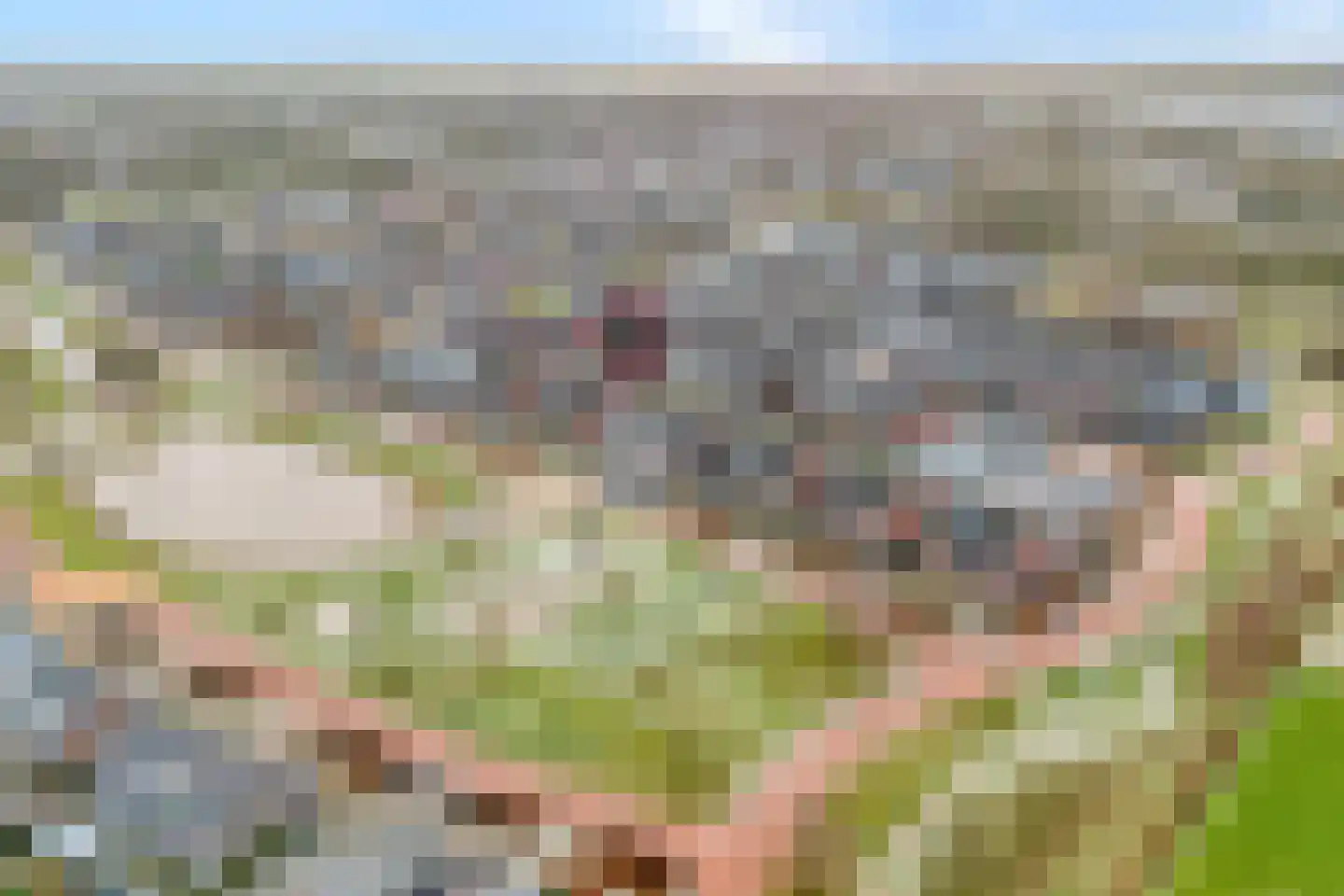 De Houtwal 15 Lemelerveld thumbnail 4