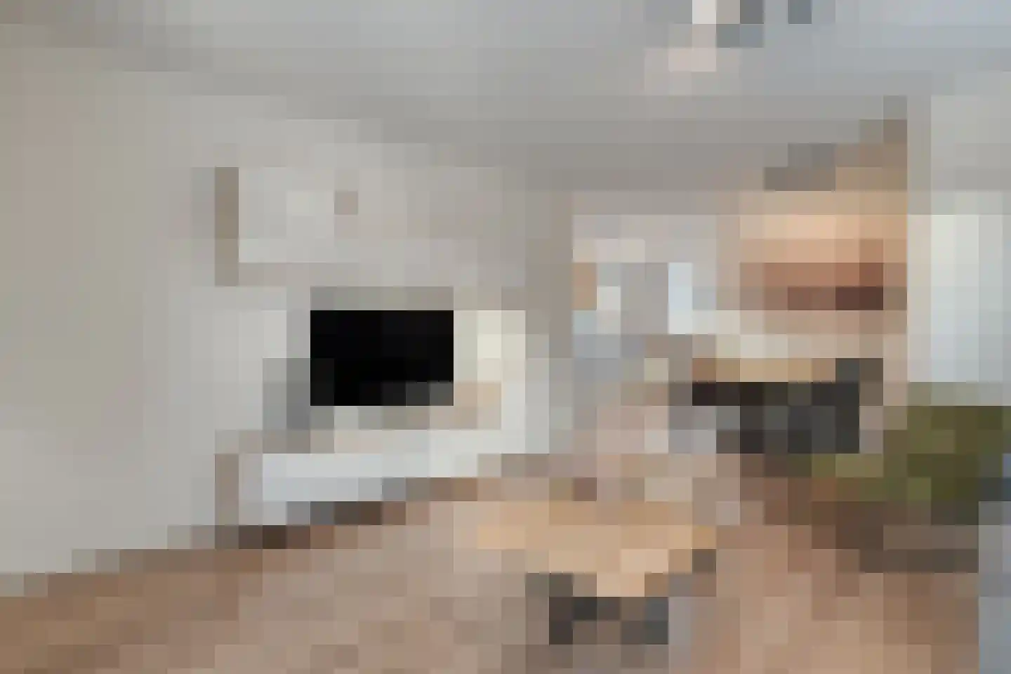 De Houtwal 15 Lemelerveld thumbnail 8