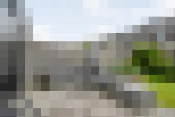De Houtwal 19 Lemelerveld thumbnail 19