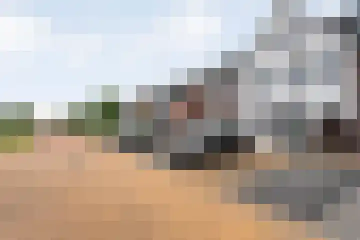 De Houtwal 19 Lemelerveld thumbnail 23