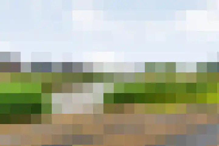 De Houtwal 19 Lemelerveld thumbnail 25