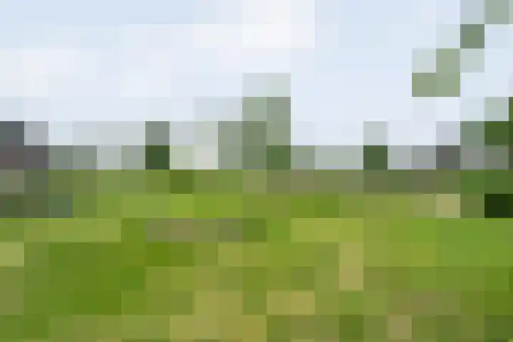 De Houtwal 19 Lemelerveld thumbnail 4