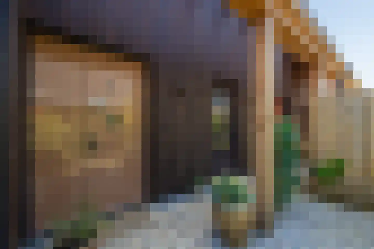 De Houtwal 2 D Veghel thumbnail 10