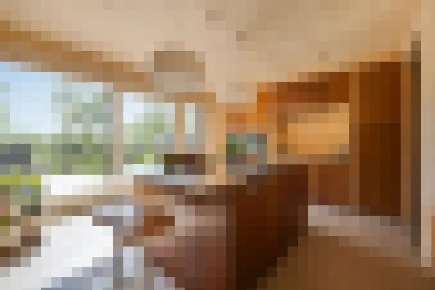 De Houtwal 2 D Veghel thumbnail 11