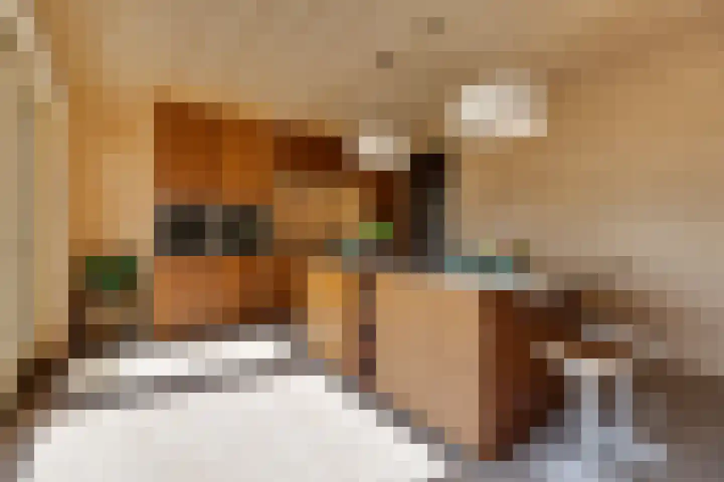 De Houtwal 2 D Veghel thumbnail 13
