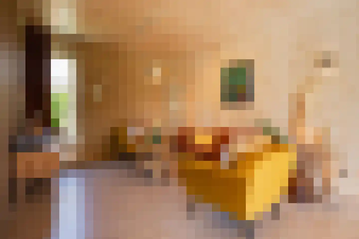 De Houtwal 2 D Veghel thumbnail 16