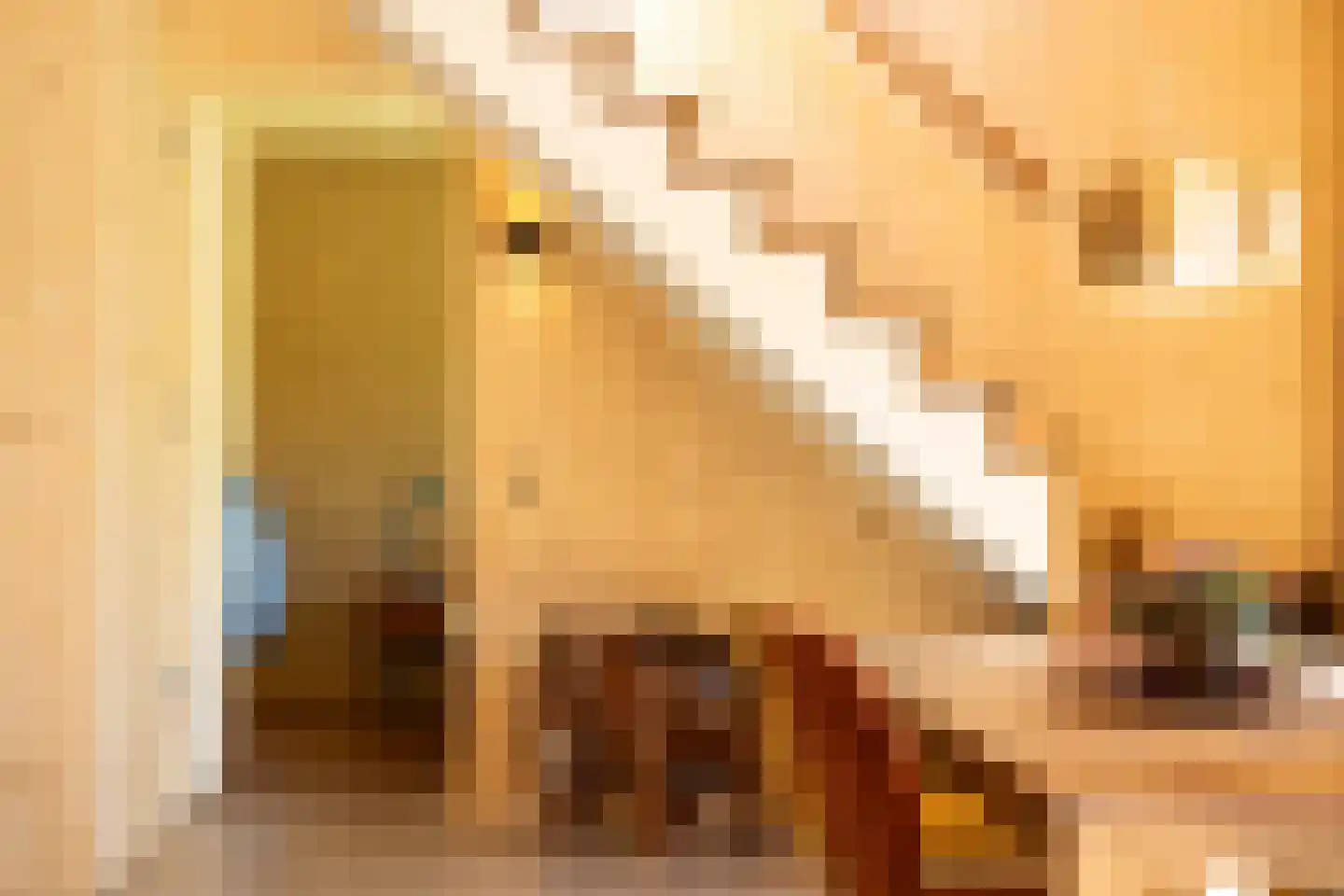 De Houtwal 2 D Veghel thumbnail 18