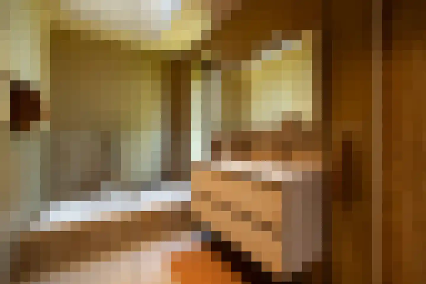 De Houtwal 2 D Veghel thumbnail 20