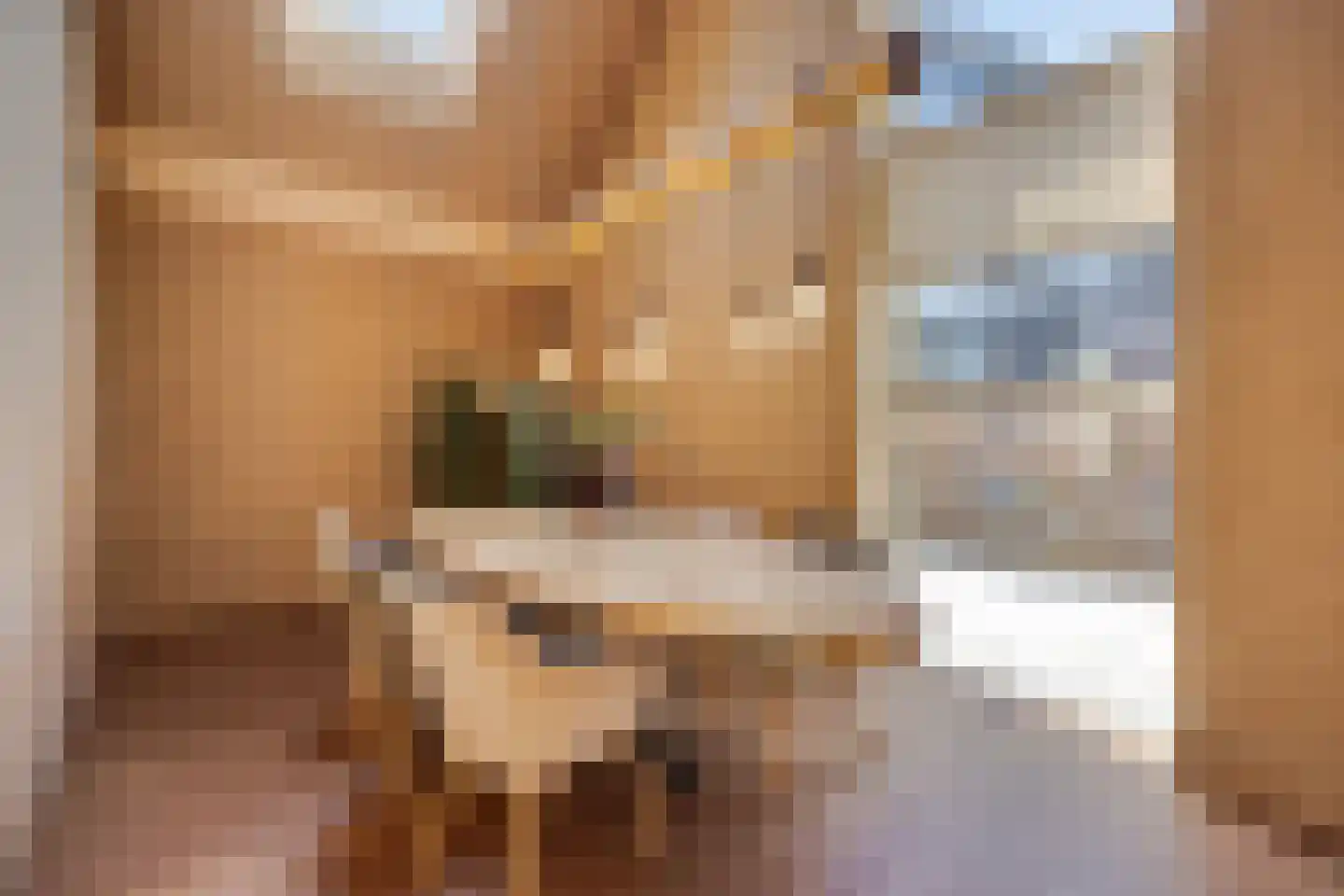 De Houtwal 2 D Veghel thumbnail 27