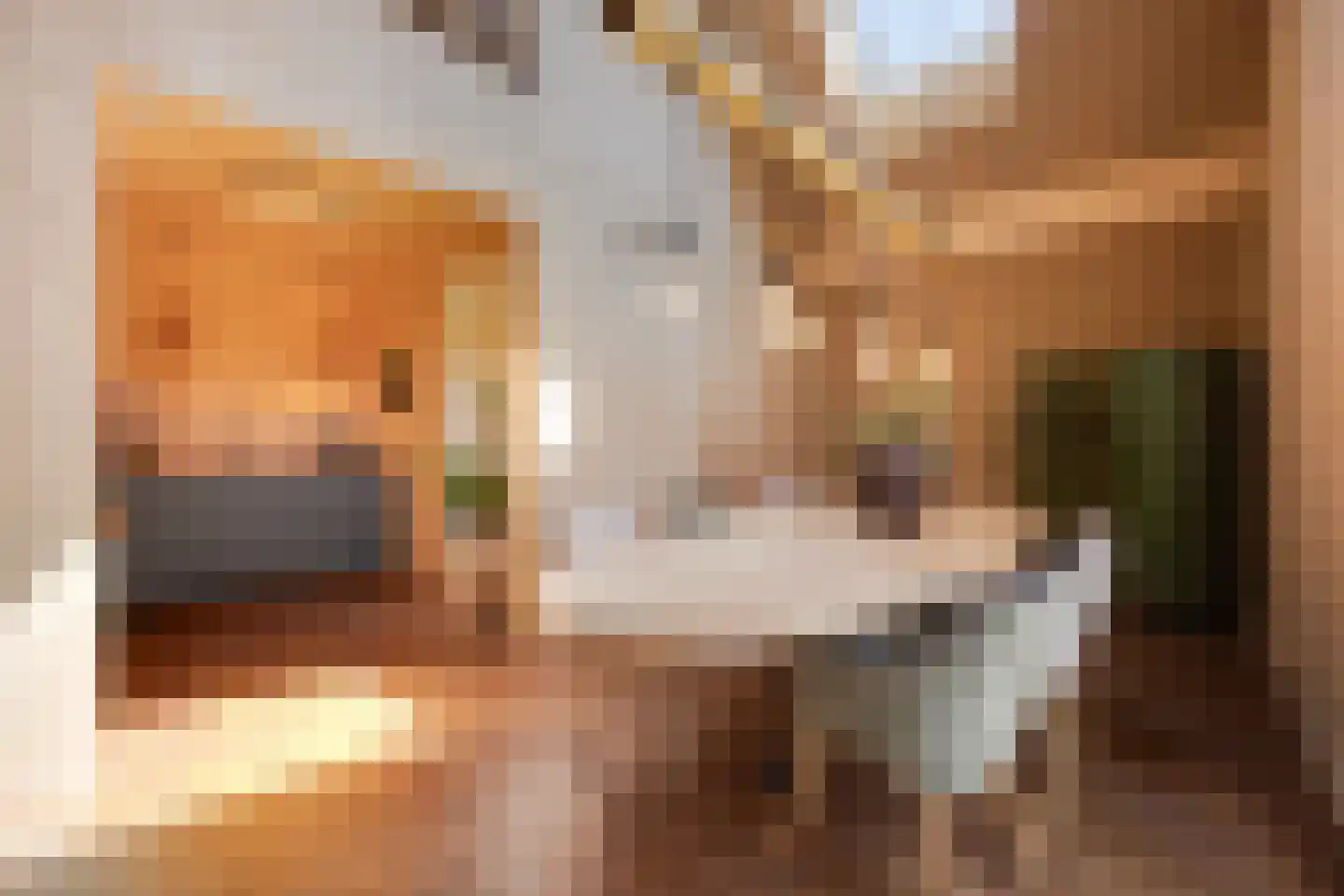 De Houtwal 2 D Veghel thumbnail 28