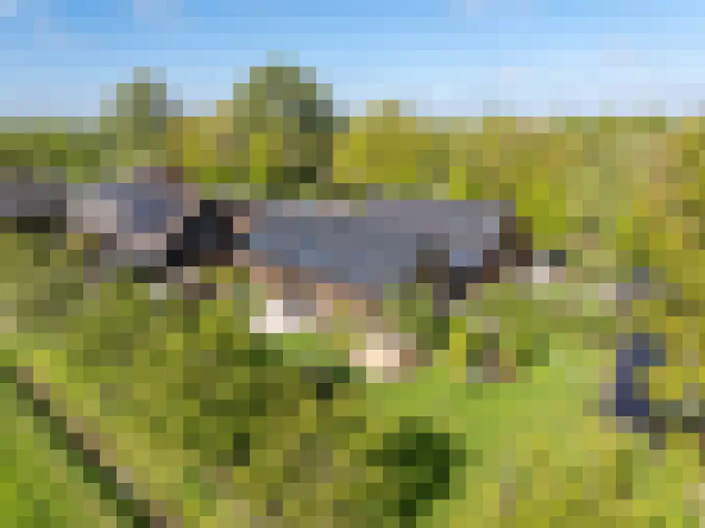 De Houtwal 2 D Veghel thumbnail 32