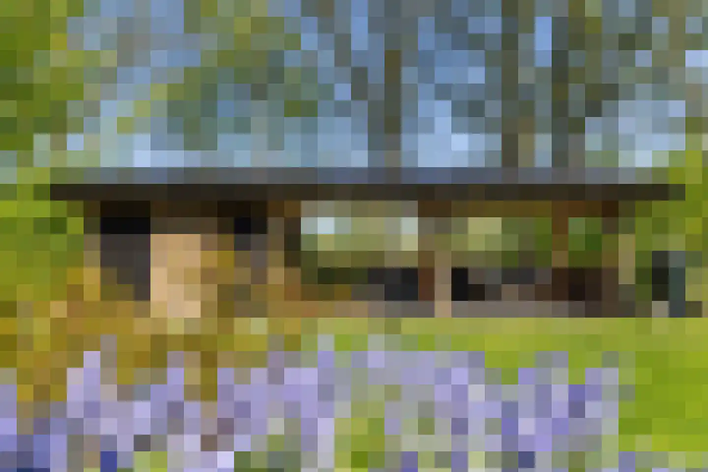 De Houtwal 2 D Veghel thumbnail 5
