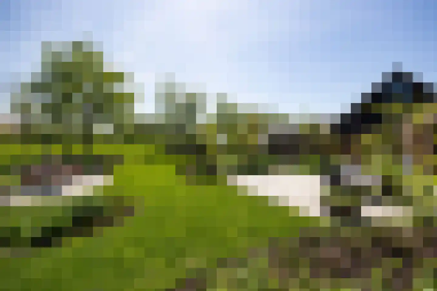 De Houtwal 2 D Veghel thumbnail 6