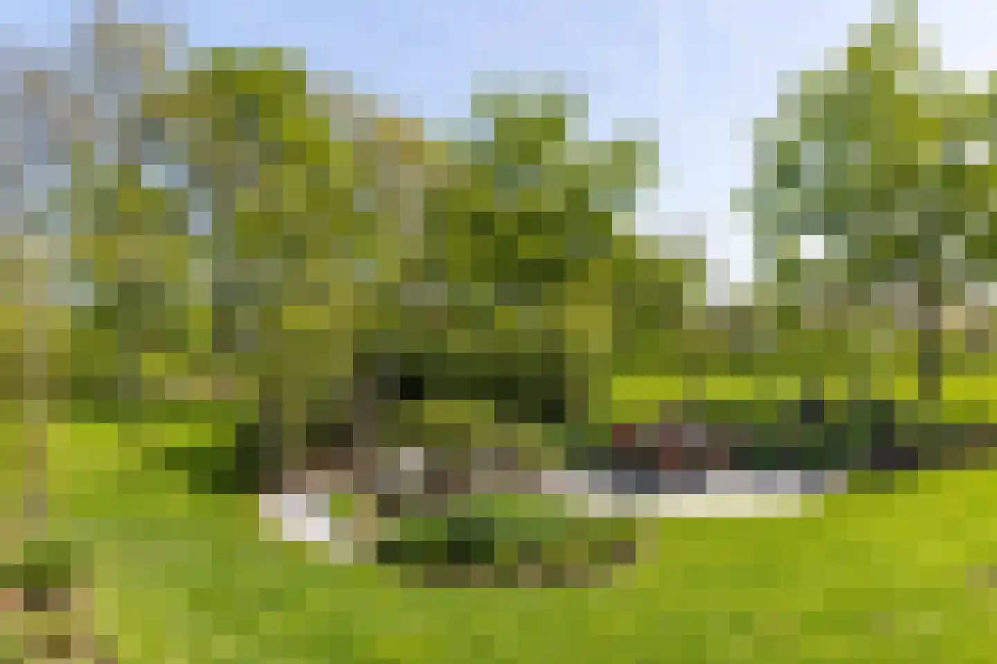 De Houtwal 2 D Veghel thumbnail 7