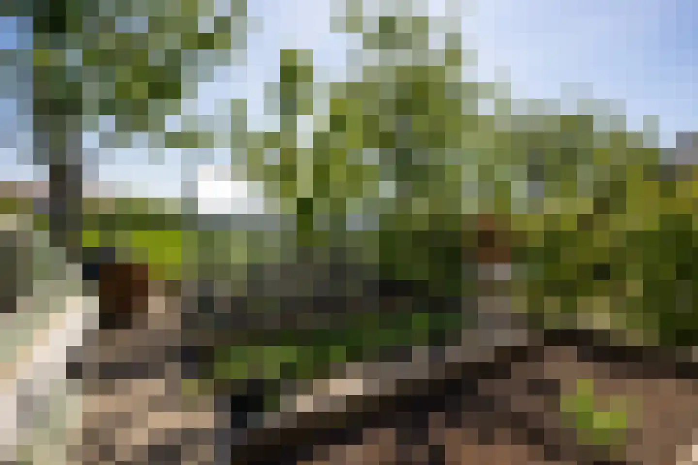 De Houtwal 2 D Veghel thumbnail 8