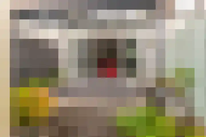 De Houtwal 20 a Heiloo thumbnail 14