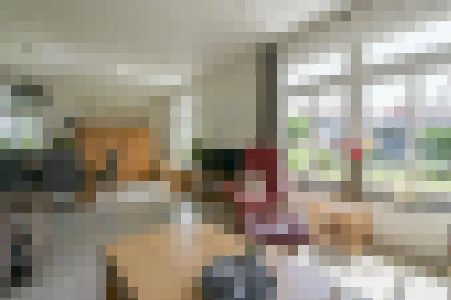 De Houtwal 4 Wekerom thumbnail 13