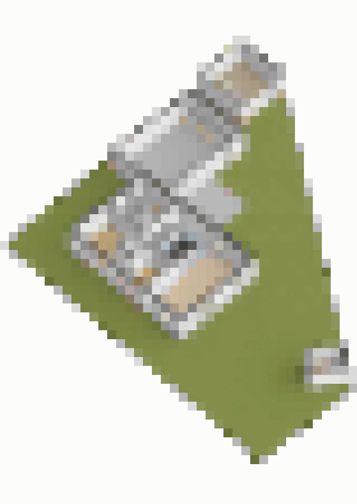 De Houtwal 4 Wekerom thumbnail 62