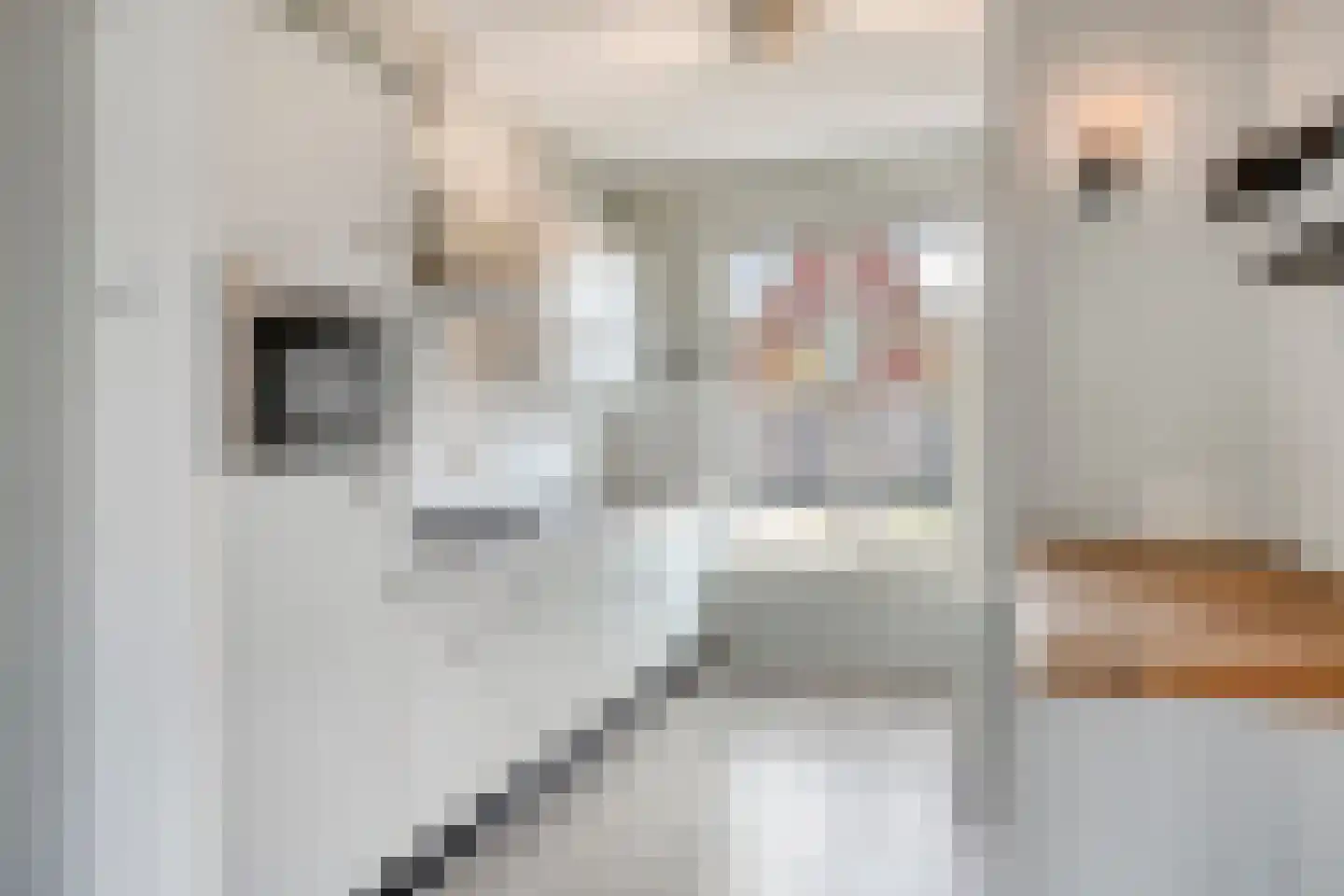 de Houtwerf 11 Westendorp thumbnail 10