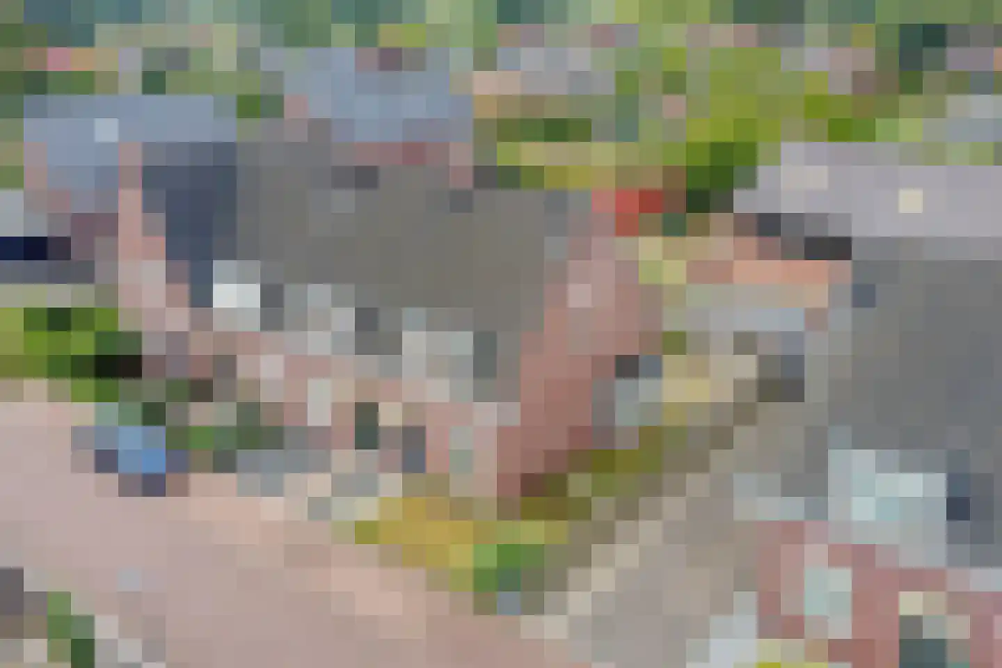 de Houtwerf 11 Westendorp thumbnail 35
