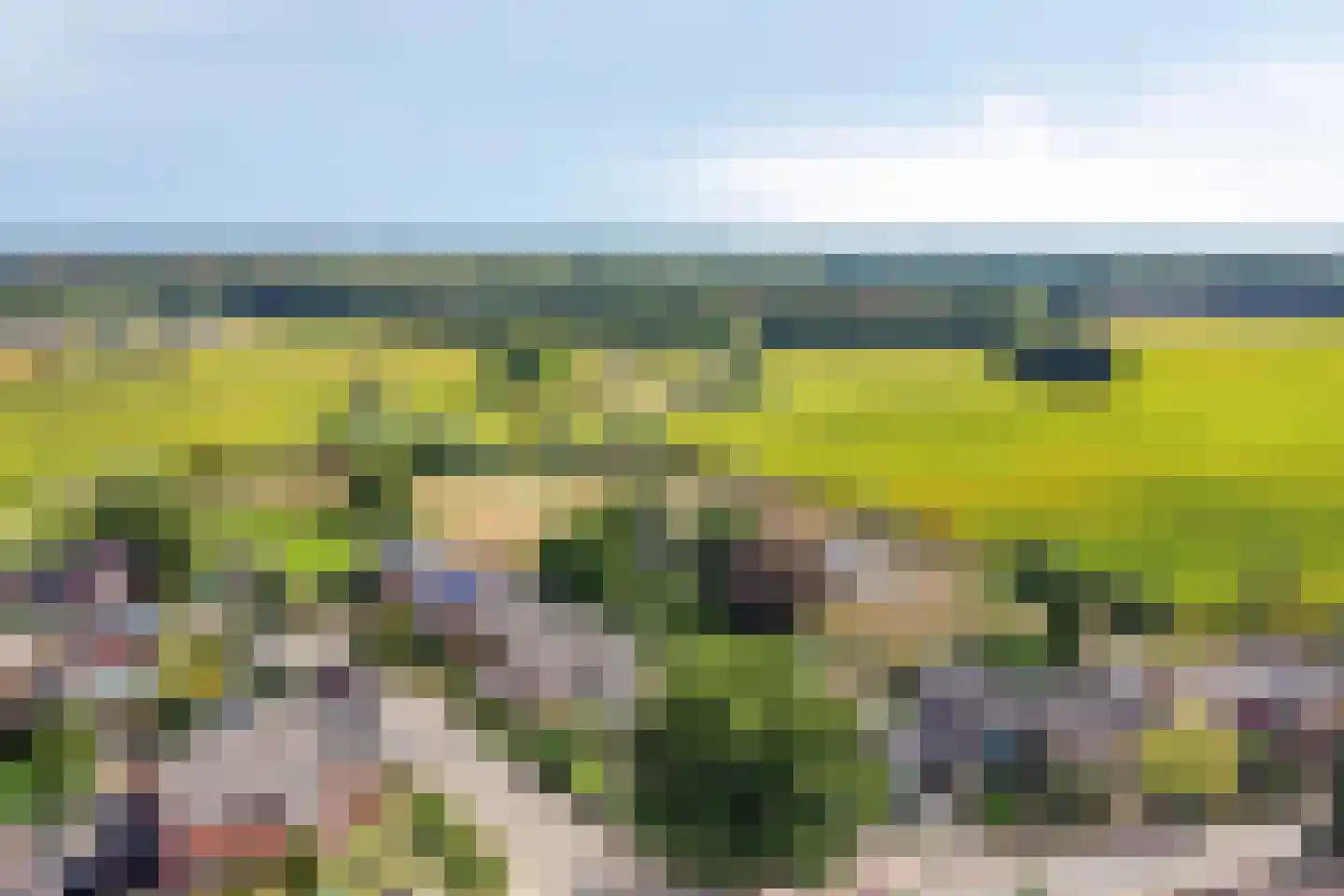 de Houtwerf 11 Westendorp thumbnail 38