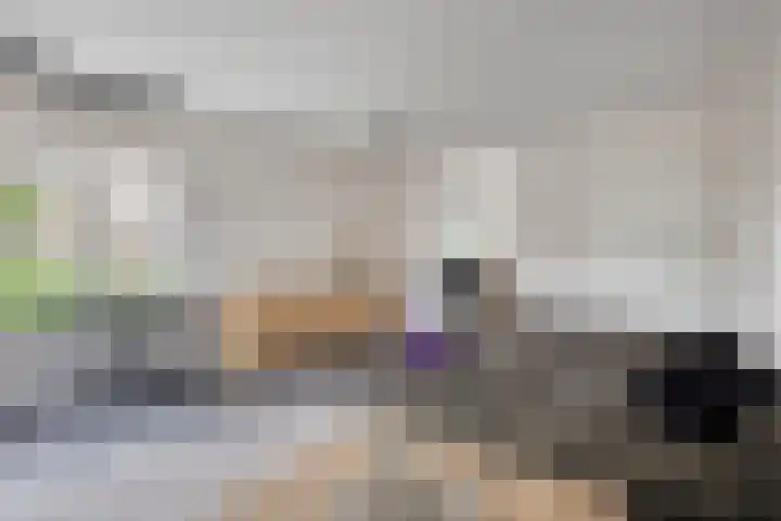 de Houtwerf 16 Westendorp thumbnail 11