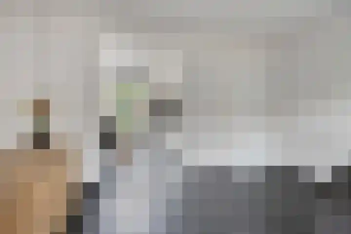 de Houtwerf 16 Westendorp thumbnail 12