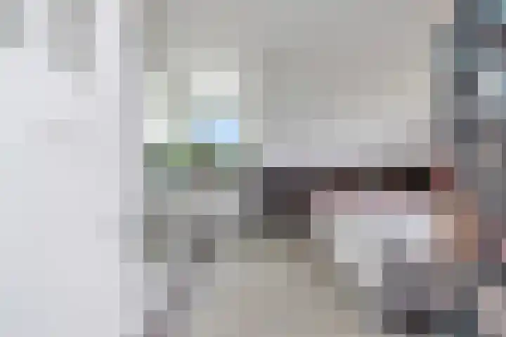 de Houtwerf 16 Westendorp thumbnail 23