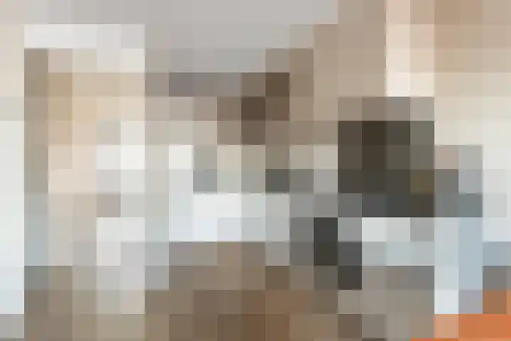 de Houtwerf 16 Westendorp thumbnail 30