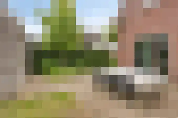 de Houtwerf 16 Westendorp thumbnail 5