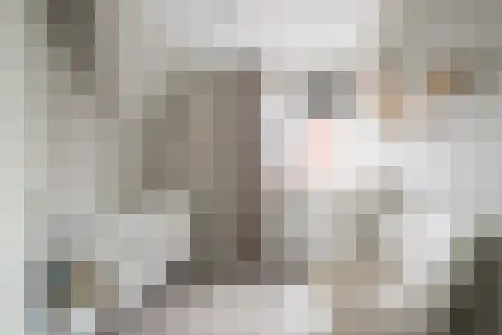 de Houtwerf 8 Westendorp thumbnail 15
