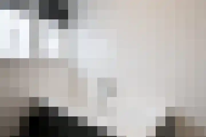 de Houtwerf 8 Westendorp thumbnail 16