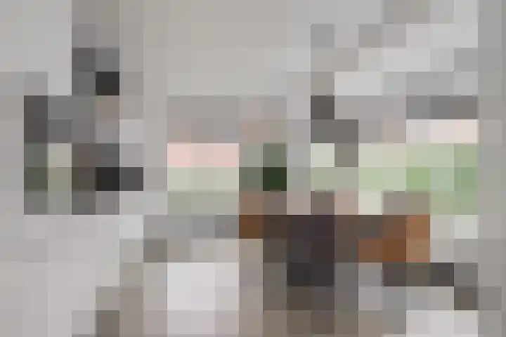 de Houtwerf 8 Westendorp foto 3