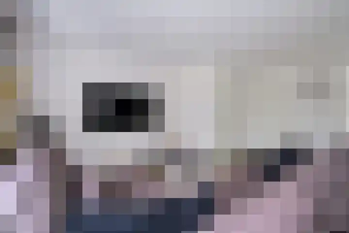 de Houtwerf 8 Westendorp thumbnail 8