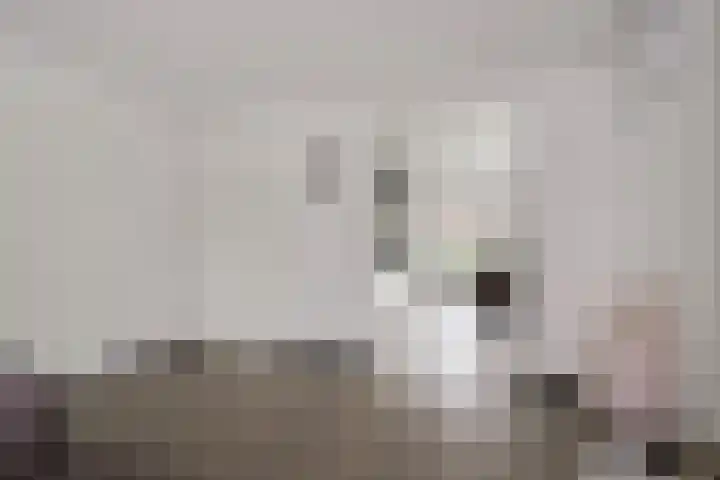 de Houtwerf 8 Westendorp thumbnail 9