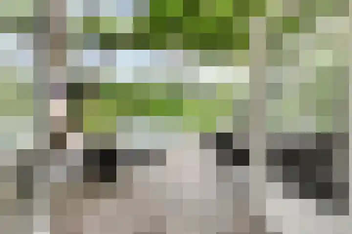 De Hovel 11 Berlicum thumbnail 10