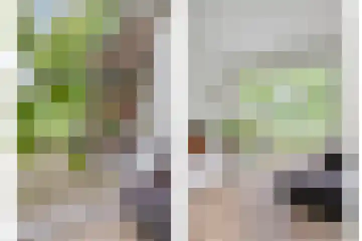 De Hovel 11 Berlicum thumbnail 12