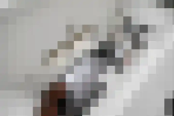 De Hovel 11 Berlicum thumbnail 18