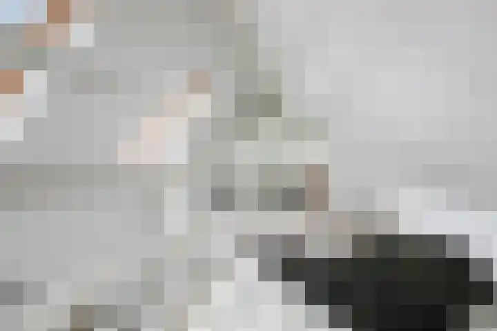 De Hovel 11 Berlicum thumbnail 19