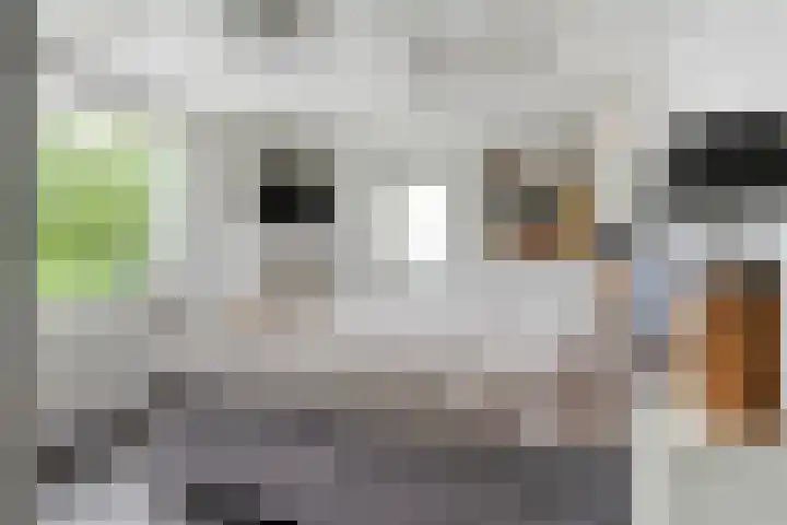 De Hovel 11 Berlicum thumbnail 34