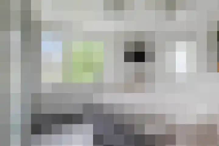 De Hovel 11 Berlicum thumbnail 36