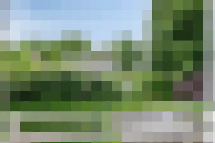 De Hovel 11 Berlicum thumbnail 37
