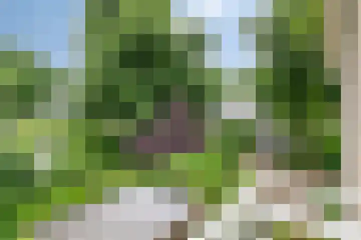 De Hovel 11 Berlicum thumbnail 38
