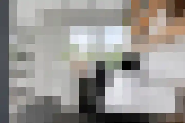 De Hovel 11 Berlicum thumbnail 40