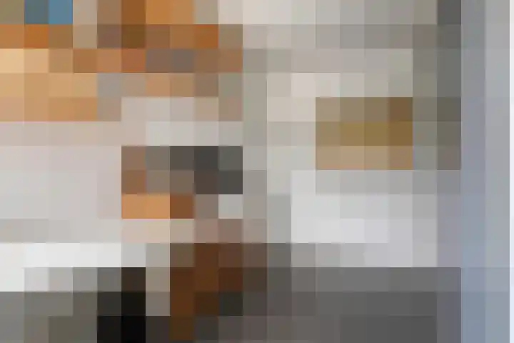 De Hovel 11 Berlicum thumbnail 41