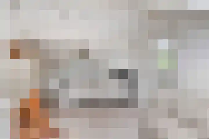 De Hovel 11 Berlicum thumbnail 43