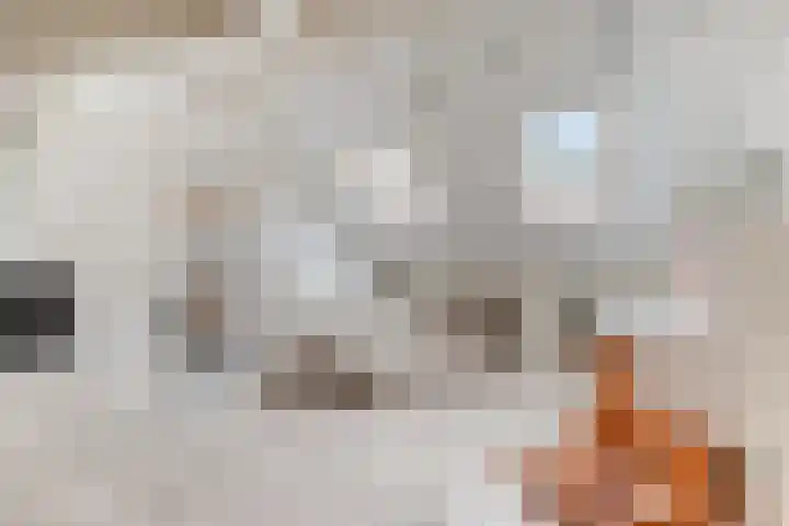 De Hovel 11 Berlicum thumbnail 44