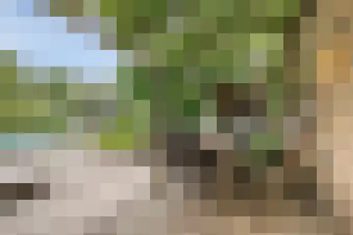 De Hovel 11 Berlicum thumbnail 50